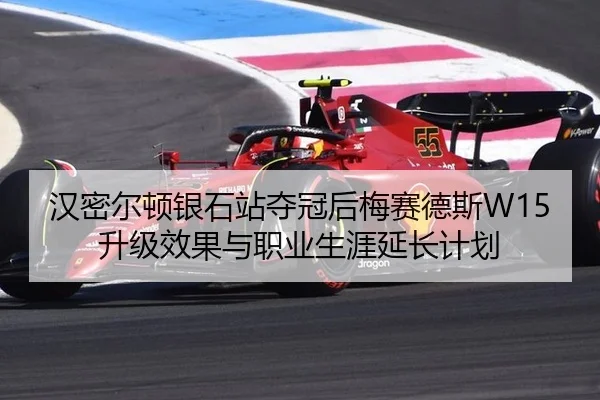 han-mi-er-dun-yin-shi-zhan-duo-guan-hou-mei-sai-de-si-sheng-ji-xiao-guo-yu-zhi-ye-sheng-ya-yan-chang-ji-hua-2-144.jpg